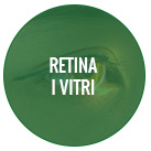 01 vies lacrimals serveis home vilaplana