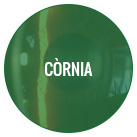 01 vies lacrimals serveis home vilaplana